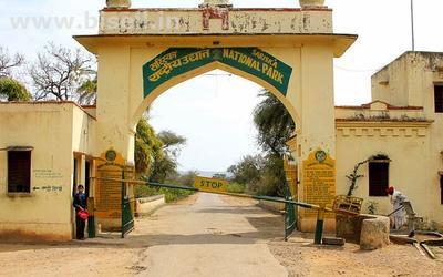 Delhi-Sariska National Park Weekend Tour