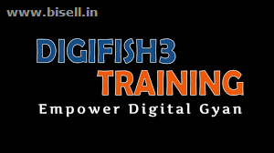 Digifish3training- Digital Marketing Course in Gurugram