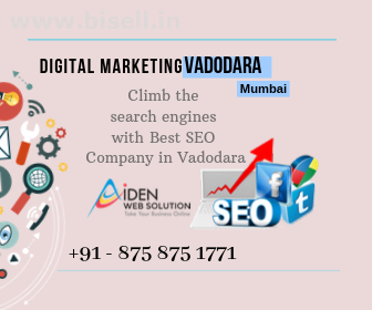 Digital Marketing & SEO Company in Vadodara & Mumbai			