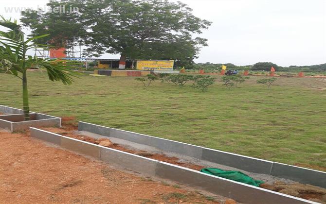 DTCP 20 sq.yds open plot with Sandal Plants for sale in Sri Punyabhoomi Sevelopers Pvt.Ltd situated at Aler Hyderabad Warngal Road