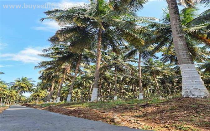 DTCP APPROVED FARM LAND  FOR SALE IN COIMBATORE!!!