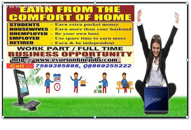 earn 6000-20000 monthly from home