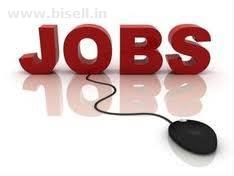 Earn Rs.30000 - every month from home - Simple Data Entry Jobs & Copy Paste Jobs