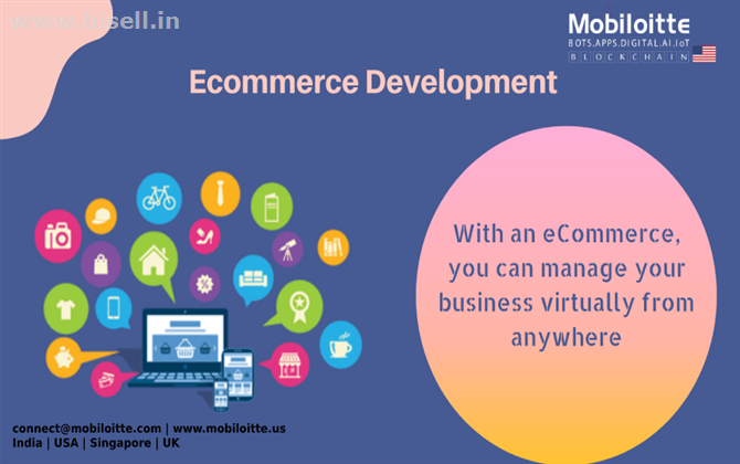 Ecommerce Development Company in USA