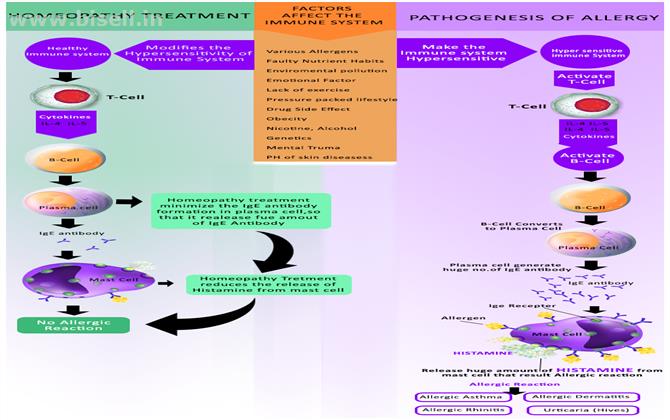 Effective and safe Homeopathy treatment for allergy.