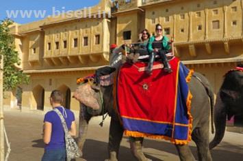 Elefanjoy Jaipur| Elephant Ride & Safari 