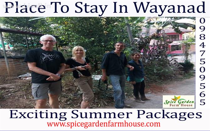 Experience The Excitement,Packages In Wayanad