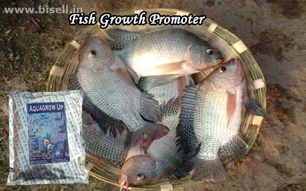 Fish Growth Promoter