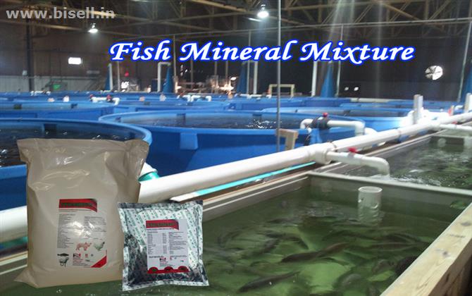 Fish Mineral mixture