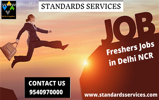 Freshers Jobs in Delhi