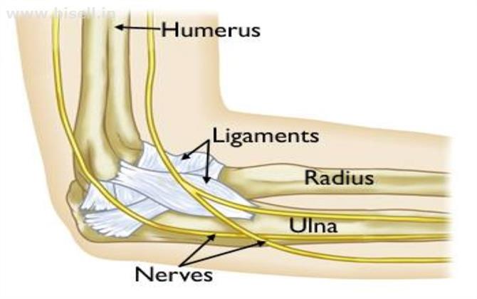 Fully and Partially Elbow Joint Replacement Surgery