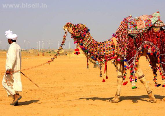 Get Rajasthan Tour Packages at Best Travel Agency in India - Swantouor