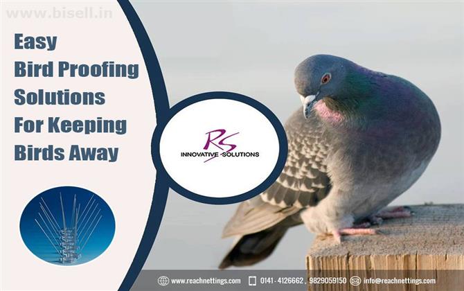 Get the Best Bird Proofing Solutions|Bird Netting Suppliers