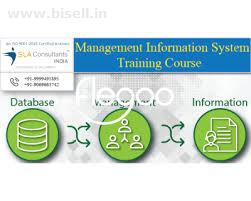 Get the Best MIS Training in Delhi at SLA Consultants Delhi Centre