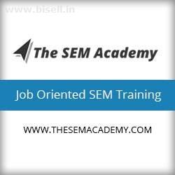 Get trained by the best SEM experts