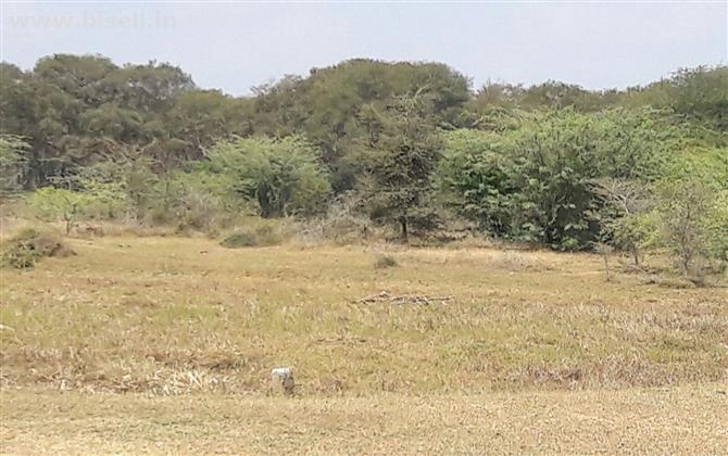 Gnanambal nagar patta land Sriperumbudur near