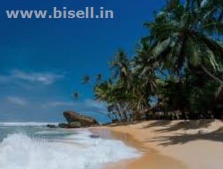 Goa honeymoon tour package