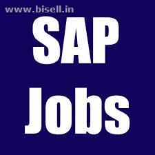 GOOD NEWS 1 Year Internship on SAP with Charges 1 Lac for 2010-2017 Passed Outs.