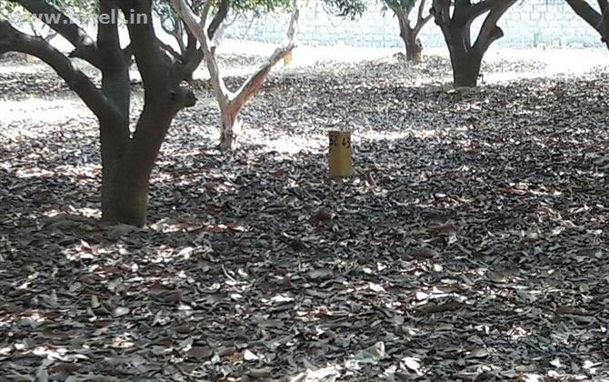 Green medous patta land Sriperumbudur near