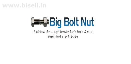 High Tensile Steel Embedded Foundation Bolts by Big Bolt Nut