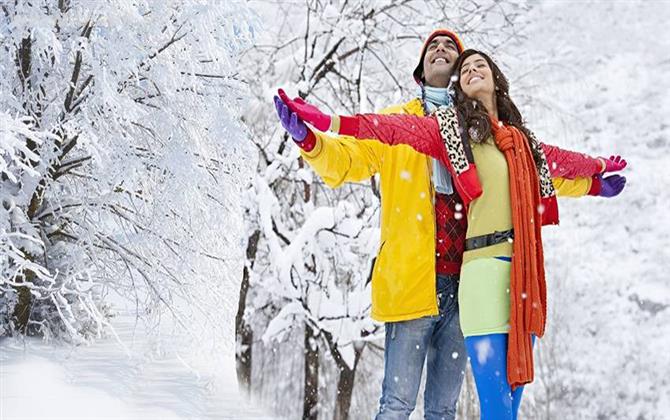 Himachal Honeymoon Tour Package