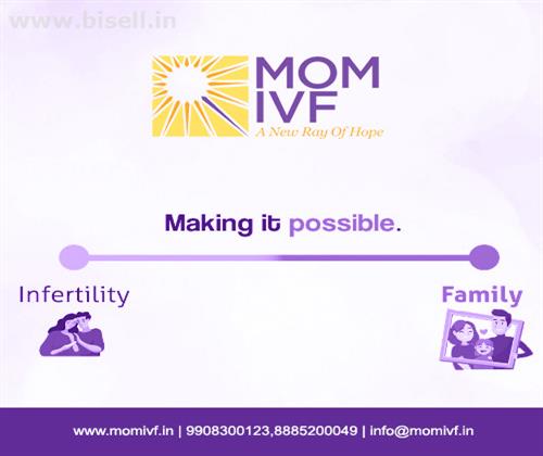 IVF | ivf treatment procedure | ivf specialist