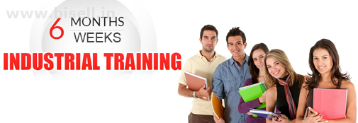 Job in R Programming in Noida Delhi NCR