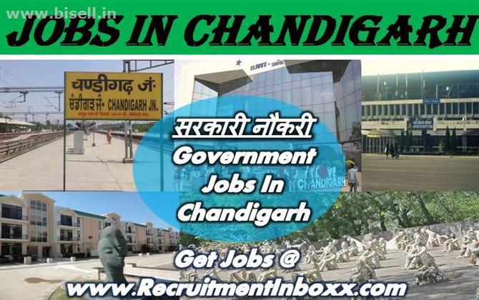 Jobs In Chandigarh