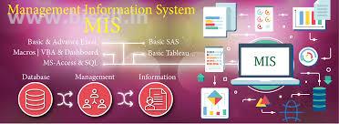 Join Best MIS Course in Delhi Centre - SLA Consultants Delhi