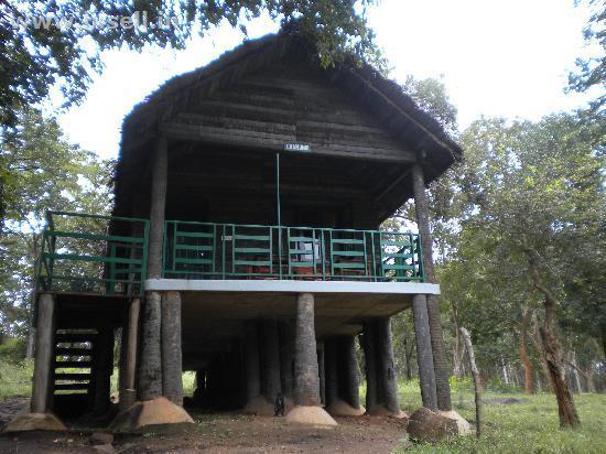 K. Gudi Wilderness Camp