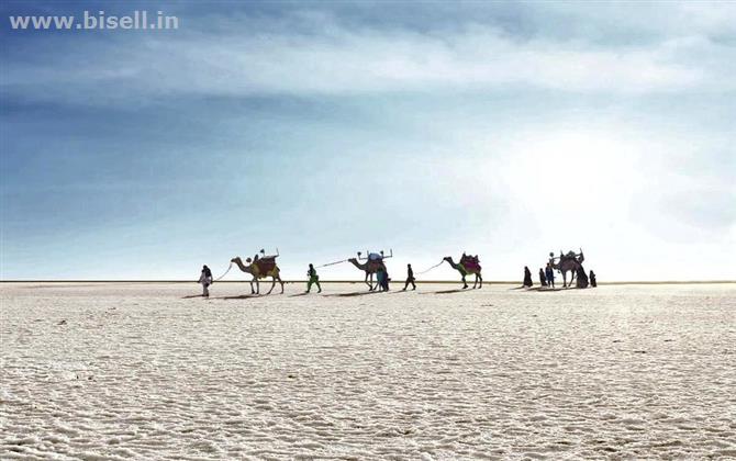 Kutch Rann Utsav | Booking | Kutch Rann Utsav 2019 - Kutch Rann Resort