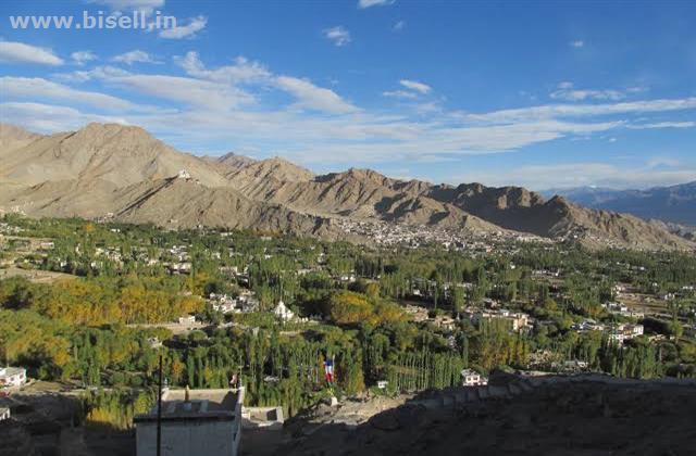 Ladakh Local Tour Experience