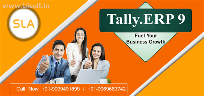 Learn Accounting with Best Tally Course in Noida at SLA Consultants Noida Centre