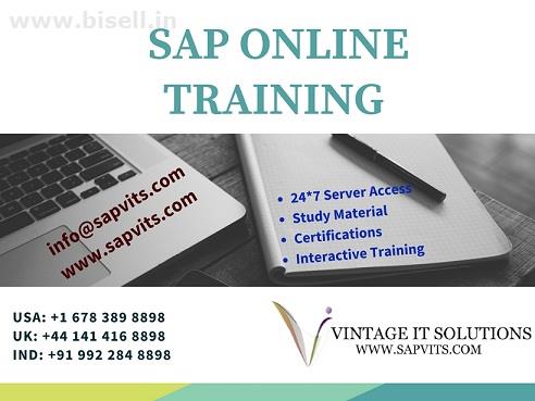 Learn SAP Online Course with Server Access Facility in Hyderabad