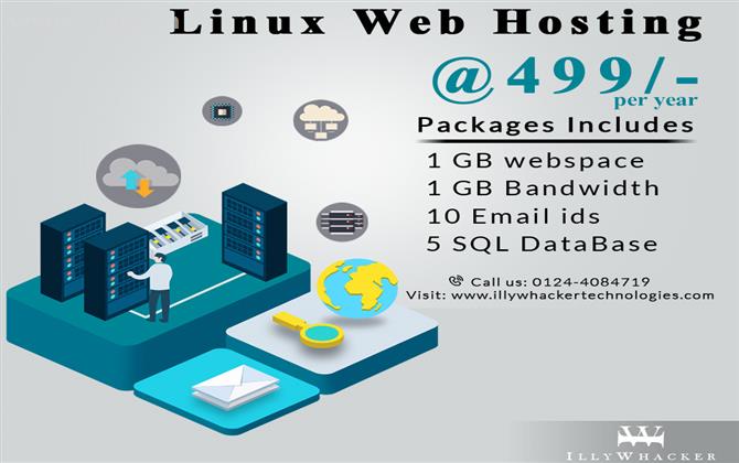 Linex Web Hosting Services at Rs.499