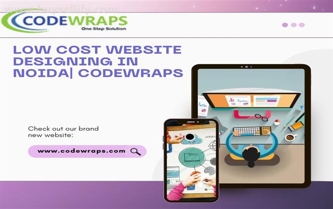 Low Cost Website Designing in Noida| Codewraps