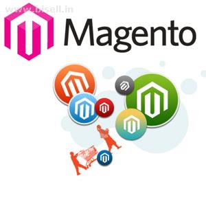 Magento,3,4,6 months and 1 year Course At CIT Computer Education.