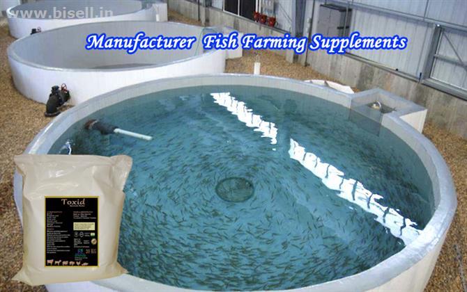 Manufacturer fish Farming supplements