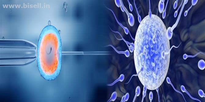 Natural Cycle IVF (Minimal stimulation) Treatment at SWCIC