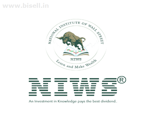 niws stock market institute