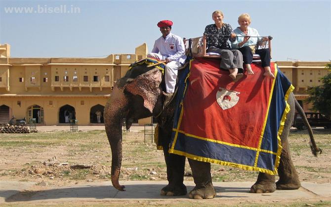 One Of The Amazing Amber Fort Sightseeing Tour @ Affordable Price