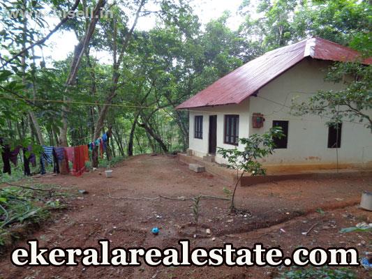 Ooruttambalam rubber plot for sale