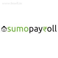 Pay your employees salary with ease using direct deposits - SumoPayroll