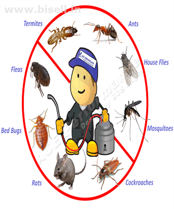 PEST CONTROL FACILITY IN CHANDIGARH | PANCHKULA | MOHALI | ZIRAKPUR