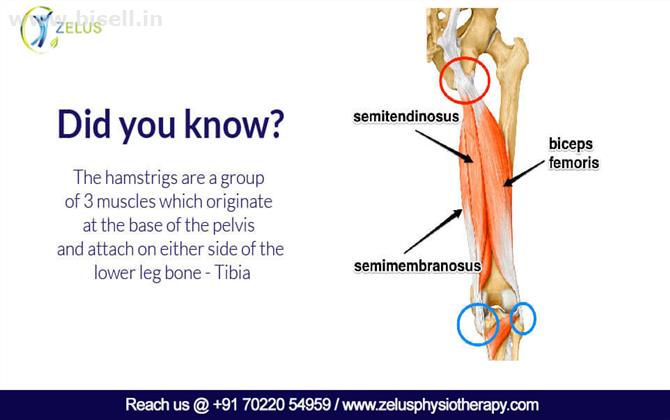 physiotherapy clinic in Bangalore