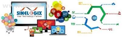 Portal Development | Website Development | Web Designer