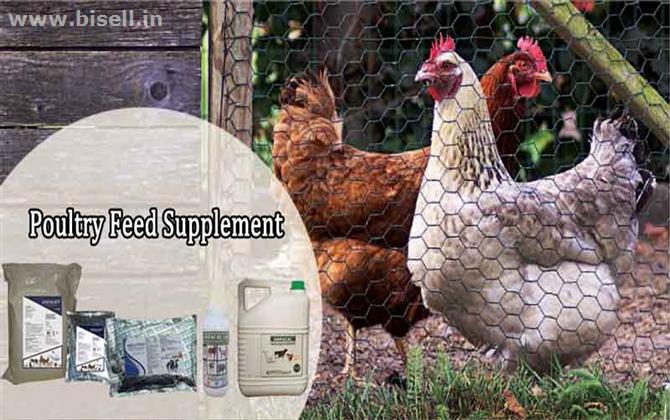 Poultry Feed Supplements