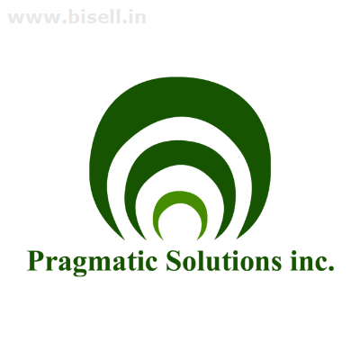 Pragmatic solution Inc-Website Development In Coimbatore