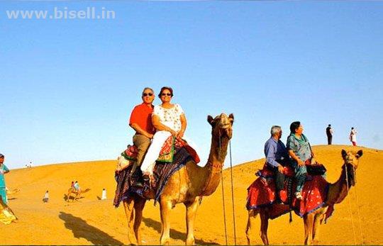 Rajasthan Tour Packages – Value for Money and Time