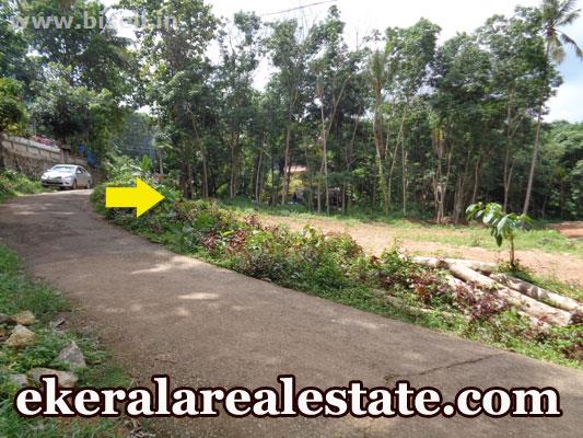 residential house plot for sale at Kilimanoor